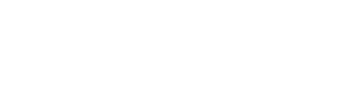 chesapeake Import services logo